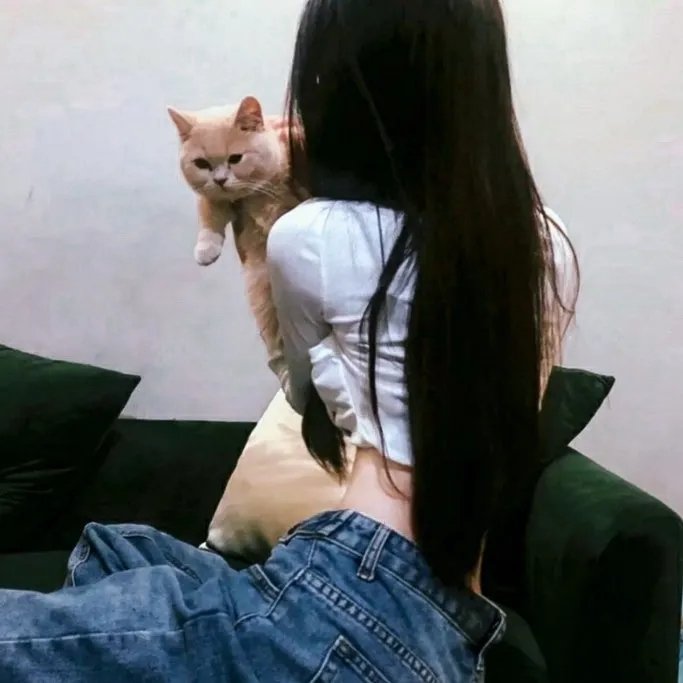 赵四小姐与张学良